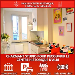 Un Jour D'Ete A Albi - Centre Unesco - 200 M Cathedrale - Parking - Animaux Acceptes Apartment